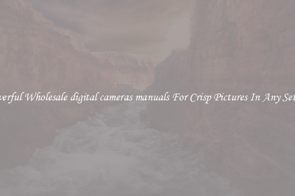 Powerful Wholesale digital cameras manuals For Crisp Pictures In Any Setting