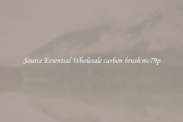 Source Essential Wholesale carbon brush mc79p