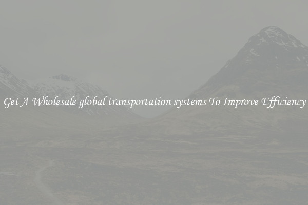 Get A Wholesale global transportation systems To Improve Efficiency