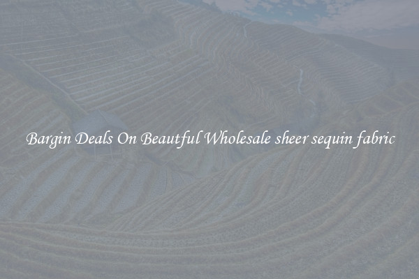Bargin Deals On Beautful Wholesale sheer sequin fabric