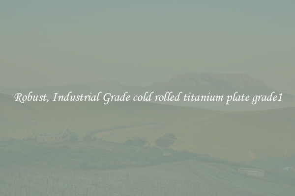 Robust, Industrial Grade cold rolled titanium plate grade1