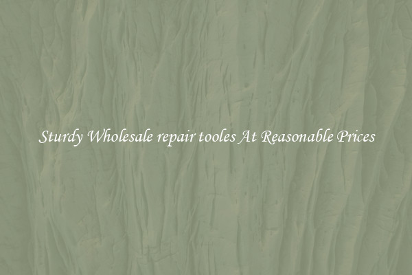 Sturdy Wholesale repair tooles At Reasonable Prices