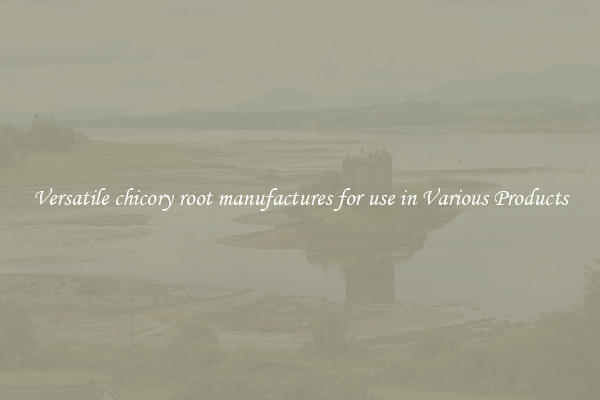 Versatile chicory root manufactures for use in Various Products