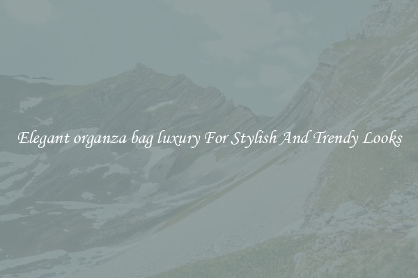 Elegant organza bag luxury For Stylish And Trendy Looks