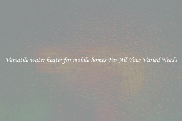 Versatile water heater for mobile homes For All Your Varied Needs