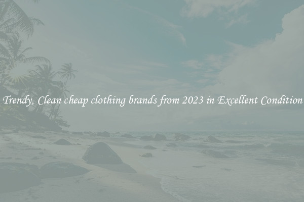 Trendy, Clean cheap clothing brands from 2023 in Excellent Condition