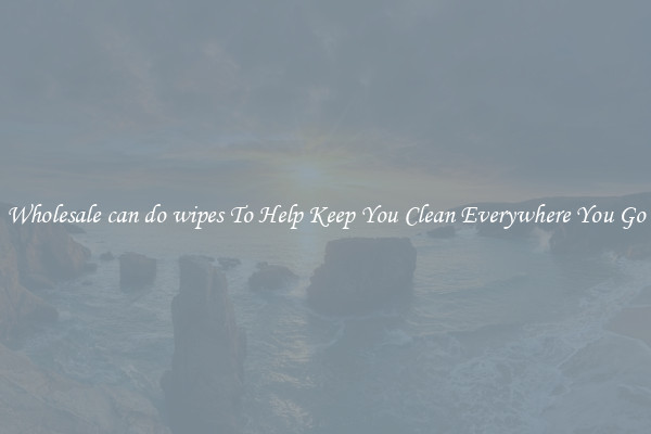 Wholesale can do wipes To Help Keep You Clean Everywhere You Go