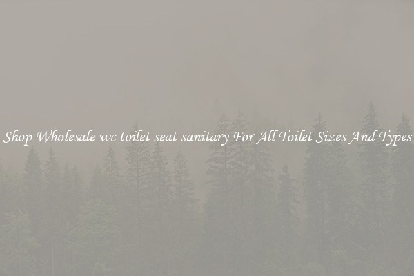 Shop Wholesale wc toilet seat sanitary For All Toilet Sizes And Types