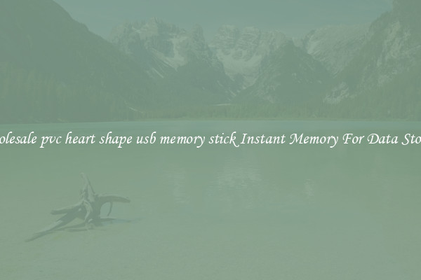 Wholesale pvc heart shape usb memory stick Instant Memory For Data Storage