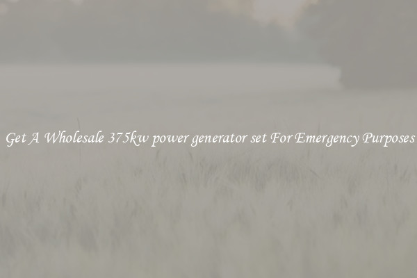 Get A Wholesale 375kw power generator set For Emergency Purposes