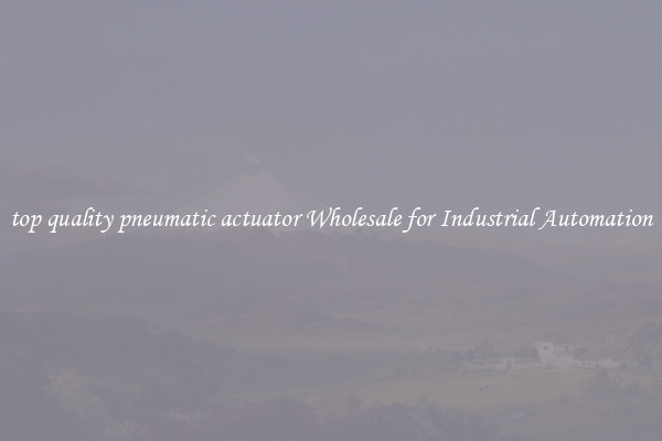  top quality pneumatic actuator Wholesale for Industrial Automation 