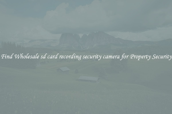 Find Wholesale sd card recording security camera for Property Security