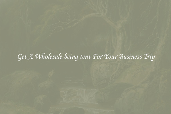 Get A Wholesale being tent For Your Business Trip