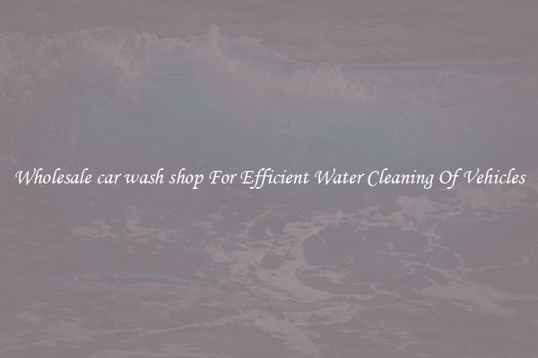 Wholesale car wash shop For Efficient Water Cleaning Of Vehicles