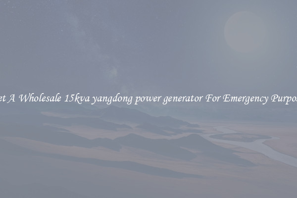 Get A Wholesale 15kva yangdong power generator For Emergency Purposes