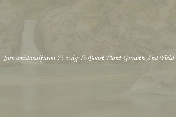 Buy amidosulfuron 75 wdg To Boost Plant Growth And Yield