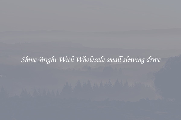 Shine Bright With Wholesale small slewing drive