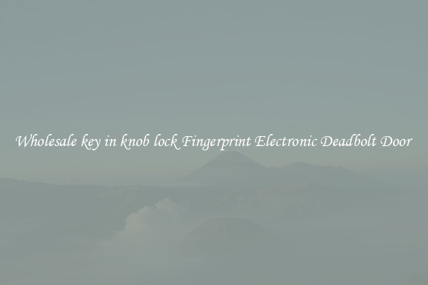 Wholesale key in knob lock Fingerprint Electronic Deadbolt Door 
