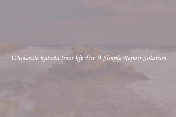 Wholesale kubota liner kit For A Simple Repair Solution