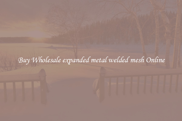 Buy Wholesale expanded metal welded mesh Online