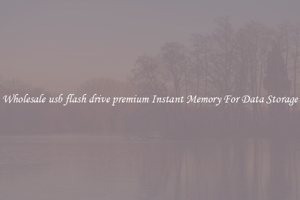 Wholesale usb flash drive premium Instant Memory For Data Storage
