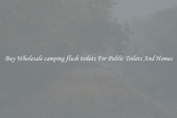 Buy Wholesale camping flush toilets For Public Toilets And Homes