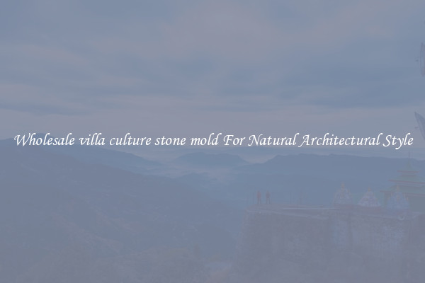 Wholesale villa culture stone mold For Natural Architectural Style