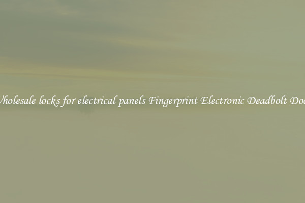 Wholesale locks for electrical panels Fingerprint Electronic Deadbolt Door 