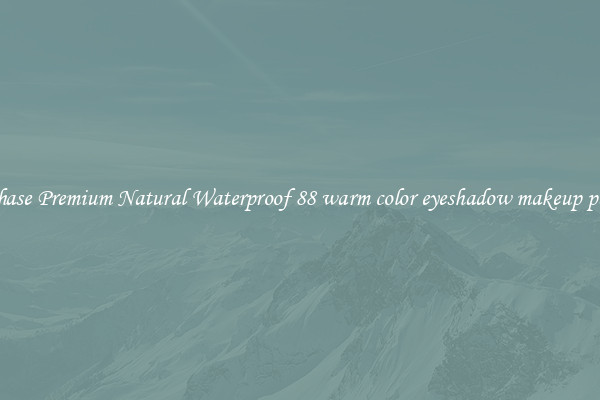 Purchase Premium Natural Waterproof 88 warm color eyeshadow makeup palette