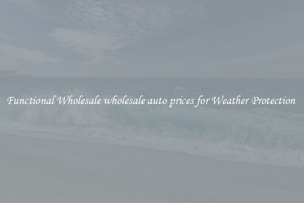 Functional Wholesale wholesale auto prices for Weather Protection 
