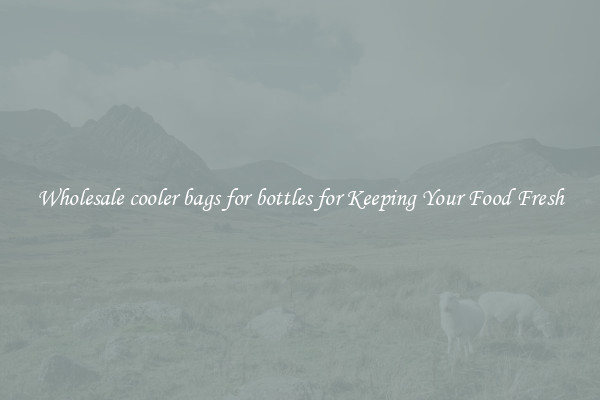 Wholesale cooler bags for bottles for Keeping Your Food Fresh