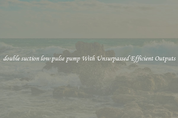 double suction low pulse pump With Unsurpassed Efficient Outputs