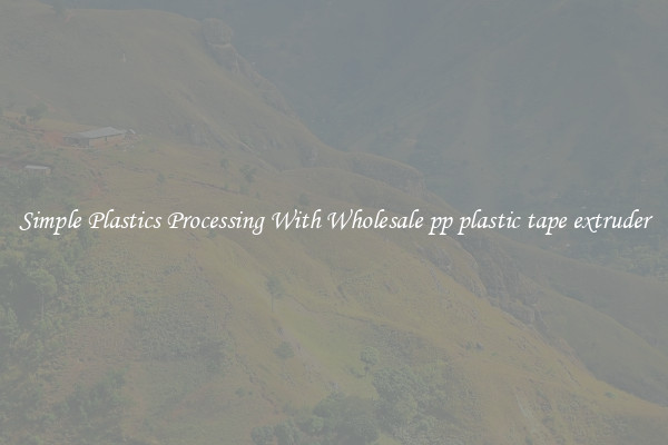 Simple Plastics Processing With Wholesale pp plastic tape extruder