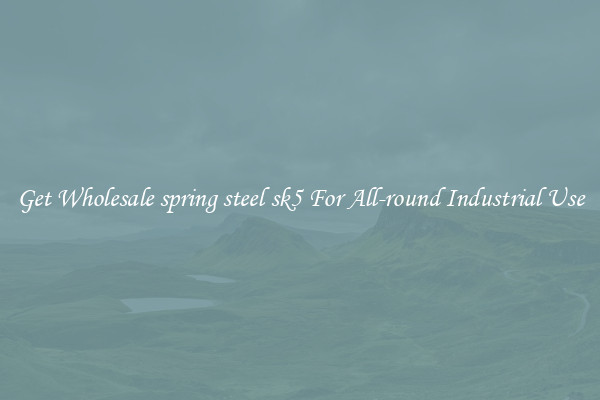 Get Wholesale spring steel sk5 For All-round Industrial Use