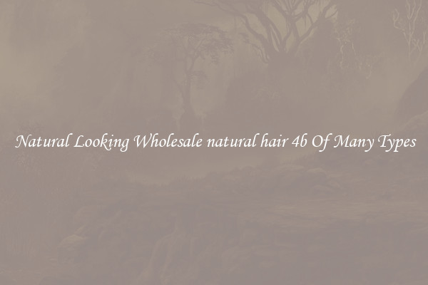 Natural Looking Wholesale natural hair 4b Of Many Types